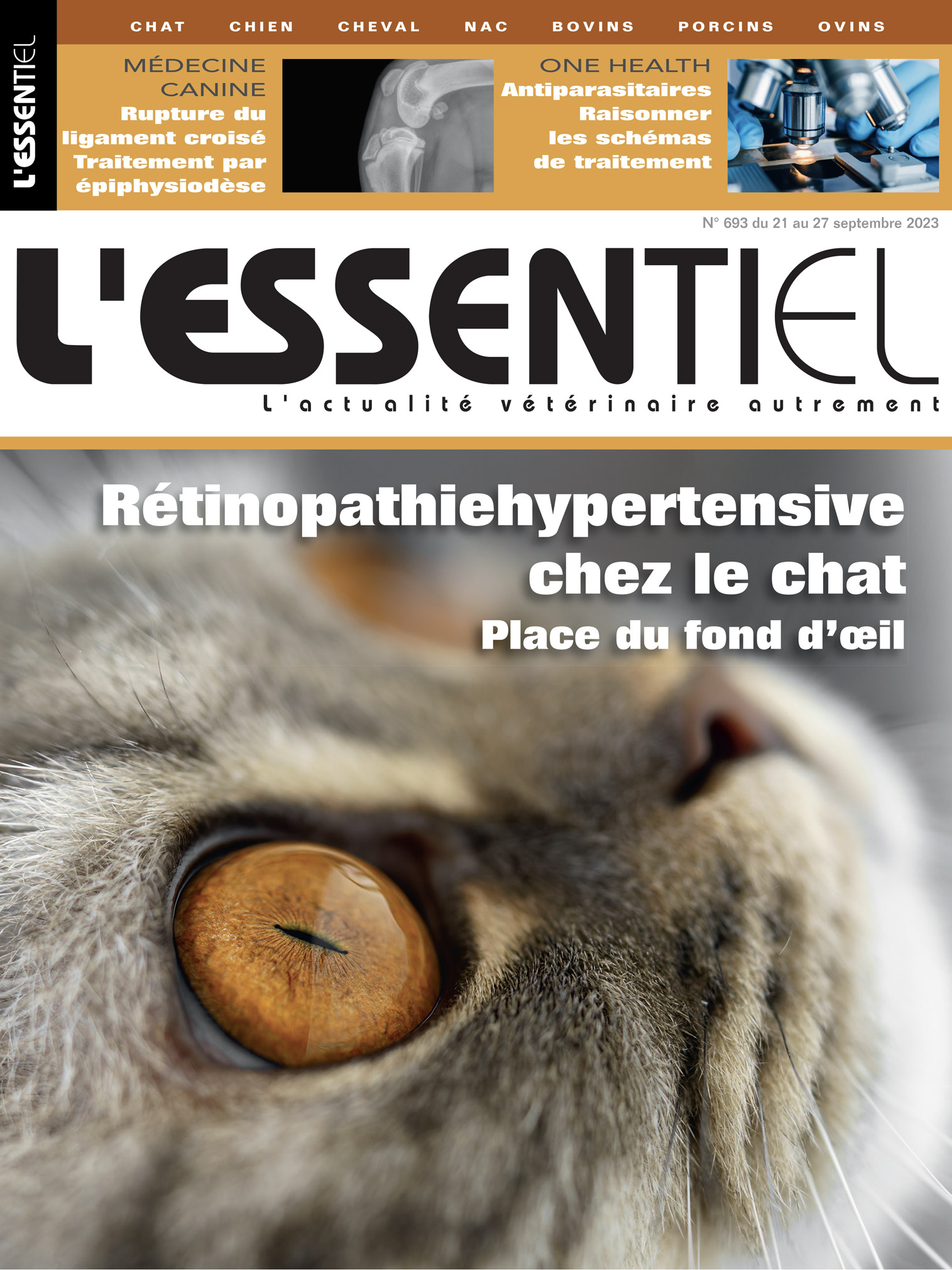 L'essentiel - Septembre 2023